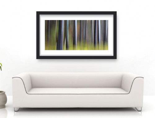 Designer Tips: Decorating with Fine Art Photography (Chapter 2/2: Place, wall and size)