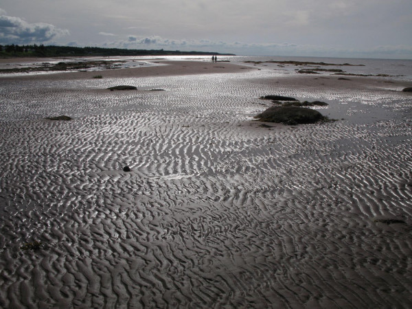 Frissons de plage 1