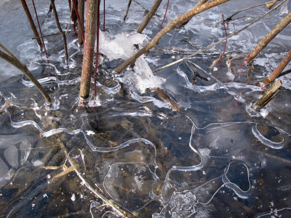 Les eaux de mars 1