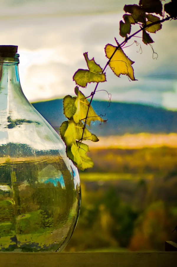 Le baiser de l'automne