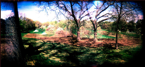 Storm King Art Center, paysage de printemps