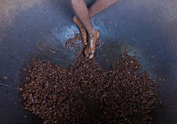 Les pieds dans le cacao!