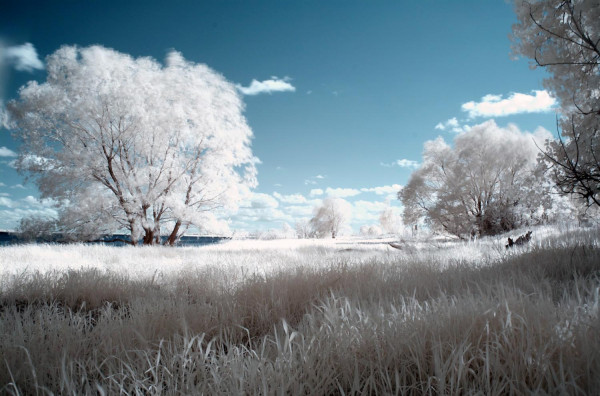 La rive blanche