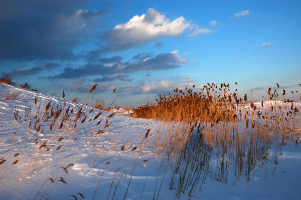 Couleurs hivernales