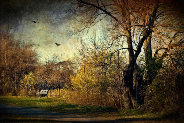 L'automne dernier, un banc