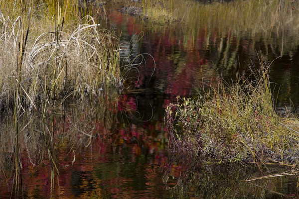 Les Foins du Marais / Collection Reflets du Marais