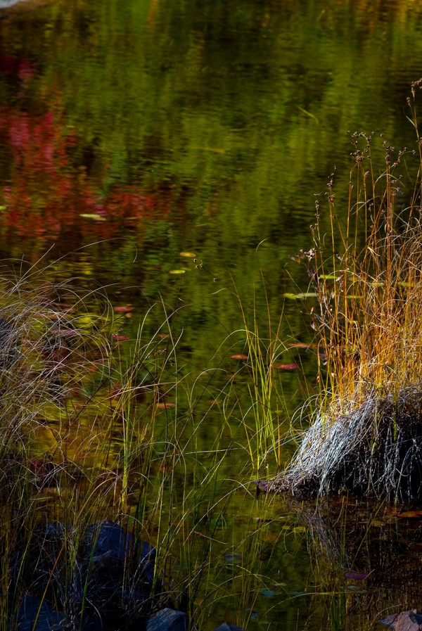 Sans Titre  / Collection Reflets du Marais