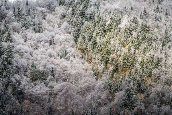 Au seuil du paysage