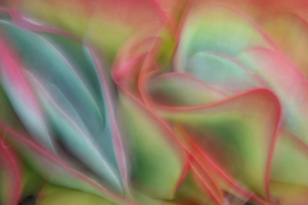 Ondulation