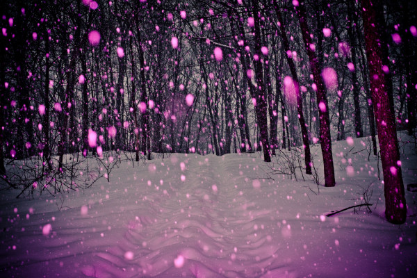 Purple Snow