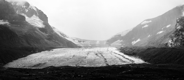 Champ de glace Columbia