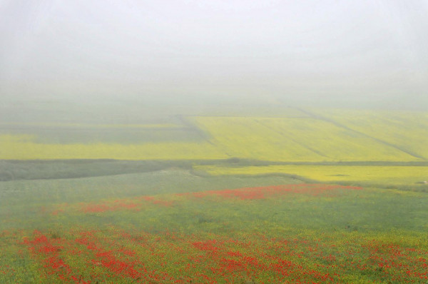 Come un Sipario, la Nebbia