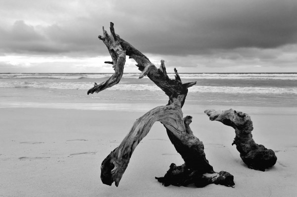 Creatura da Spiaggia 1