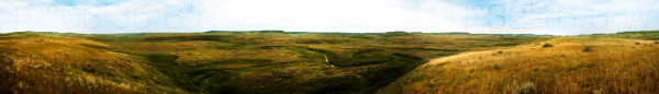 Prairies 1