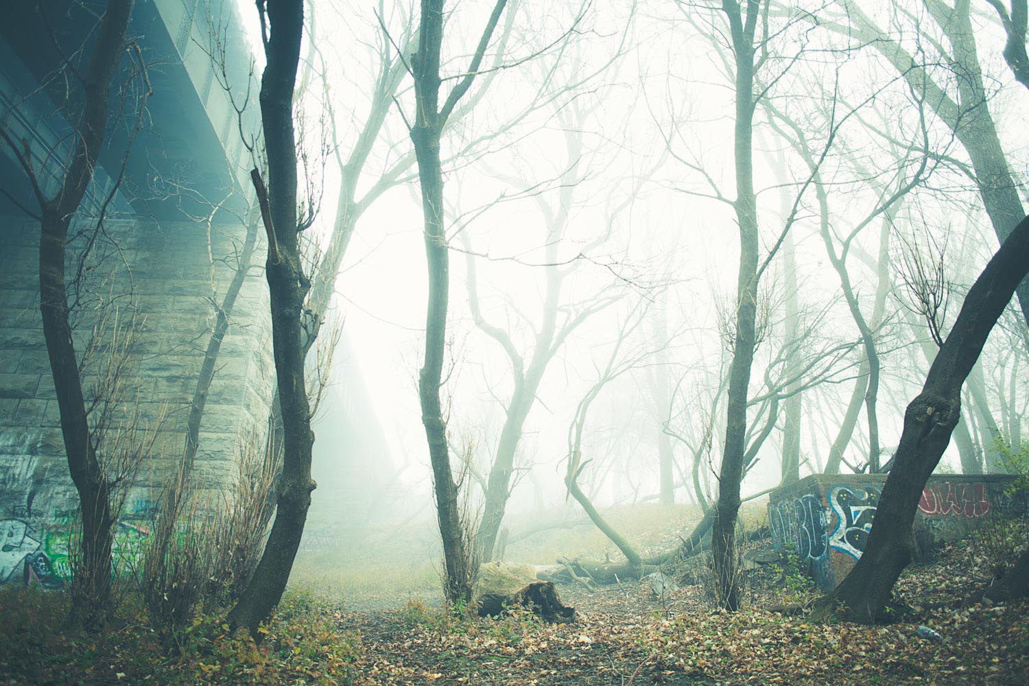 Ponton dans la brume - Grizzly Montréal