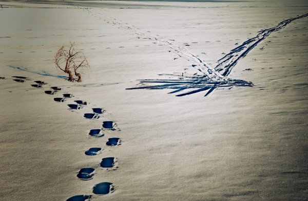 Traces lunaires