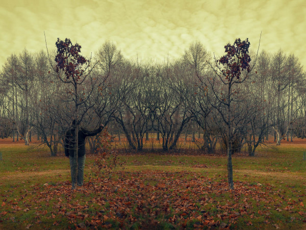 Les feuilles tombent toujours durant l'automne