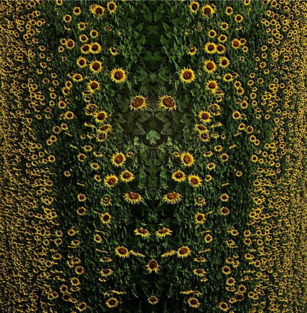 Soleils