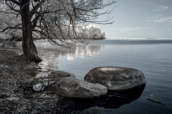 De l’île Saint-Bernard_02