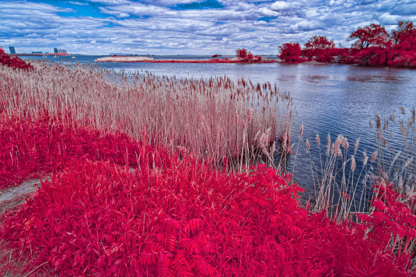 Les berges du parc des Rapides, LaSalle