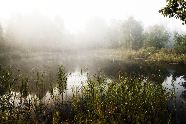 Vision de septembre