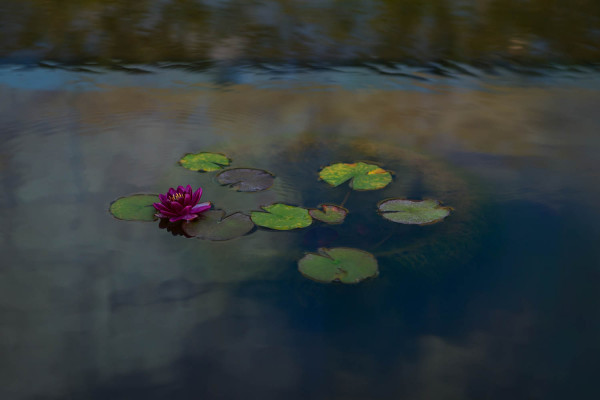 Eau et Reflets 3