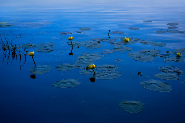 Eau et Reflets 14
