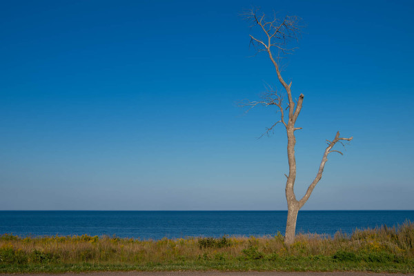 Gaspésie 9