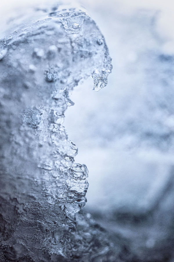 Vague de glace