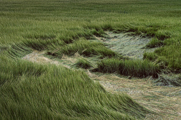 During Low Tide